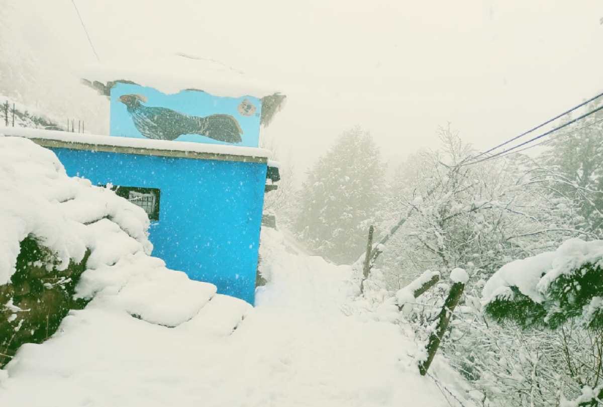 himachal weather update: Rain and snowfall recorded in state, 248 roads closed, life disturbed