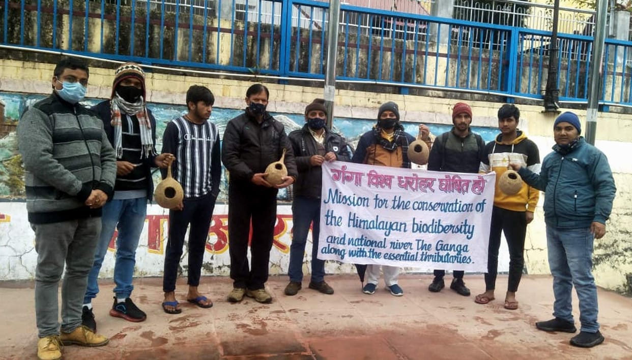 artificial nests planted on the banks of ganga to save sparrow