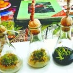 पीयू में तैयार किया गया आर्किड।