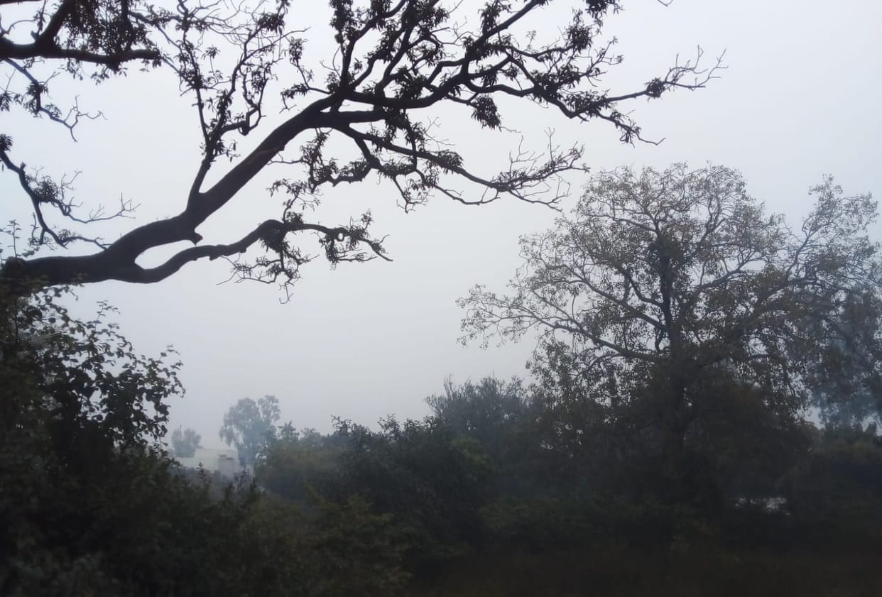 weather