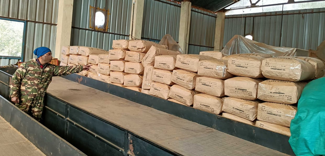 Business of Tea Export From Champawat