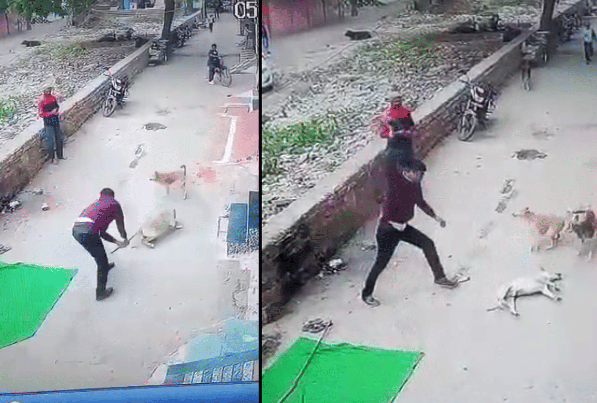 Animal society submitted memorandum against the accused who brutally killed a dog in Gwalior, demand for strict action raised