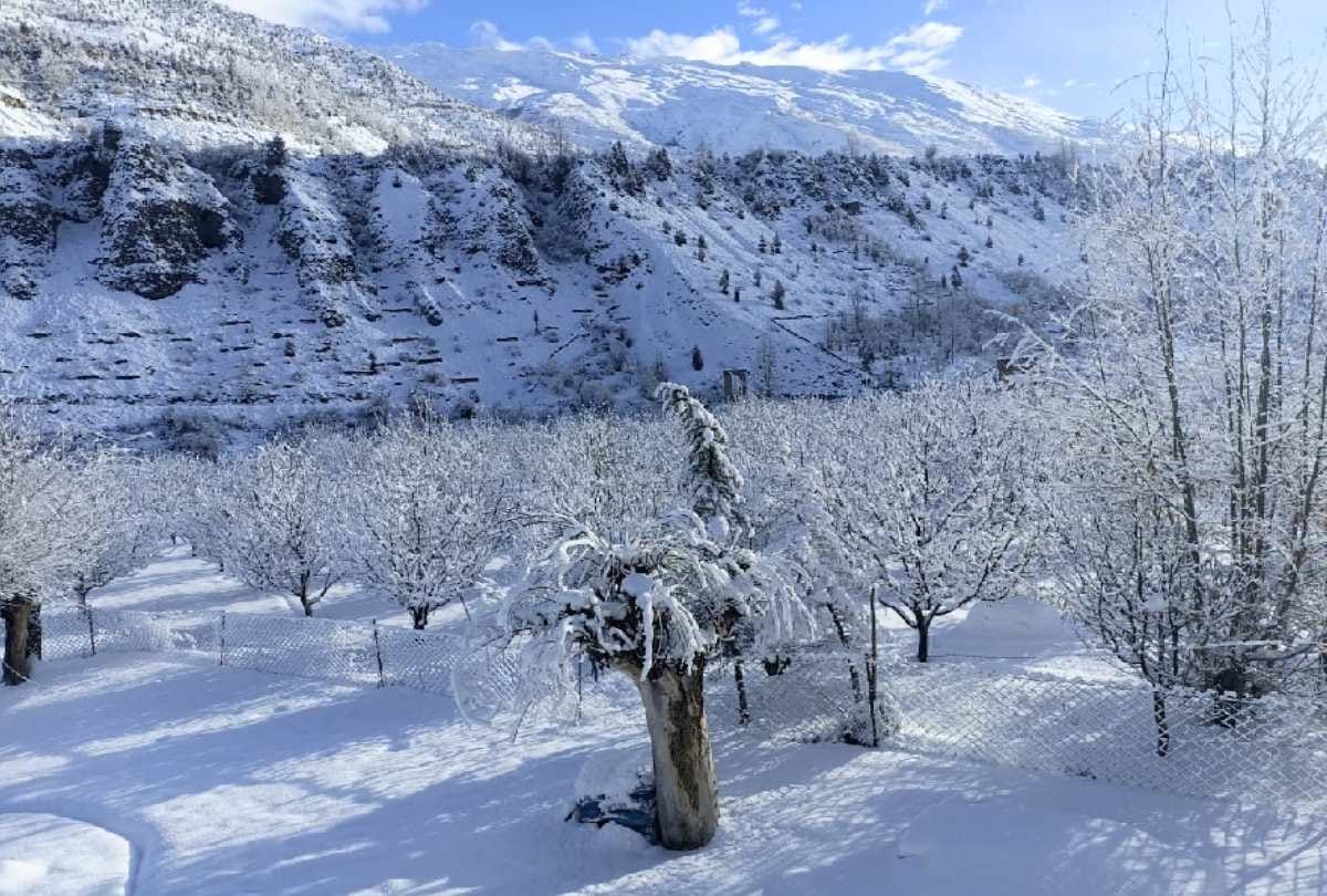 Keylong: 90 tourists stranded for four days amid snowfall, administration launched rescue operation
