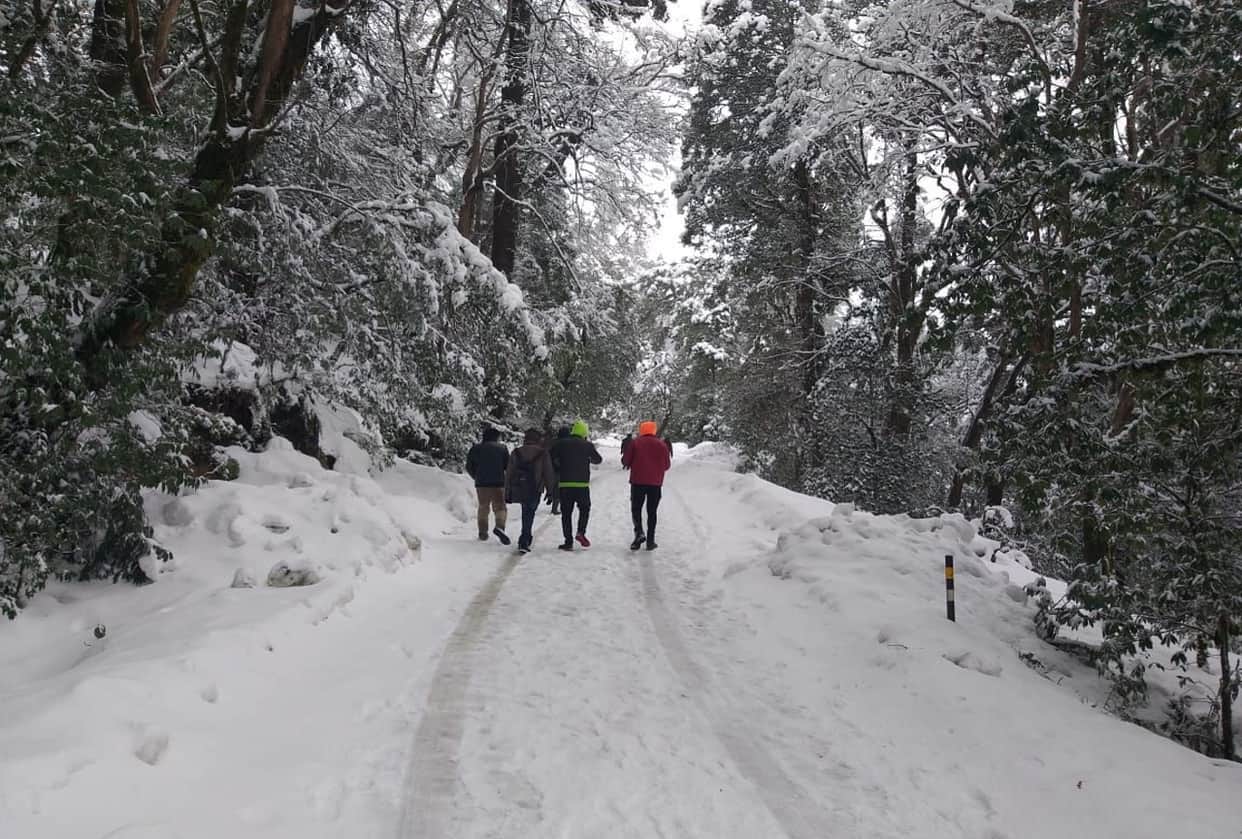 uttarakhand weather update today: snowfall in many areas, cold increased, see photos