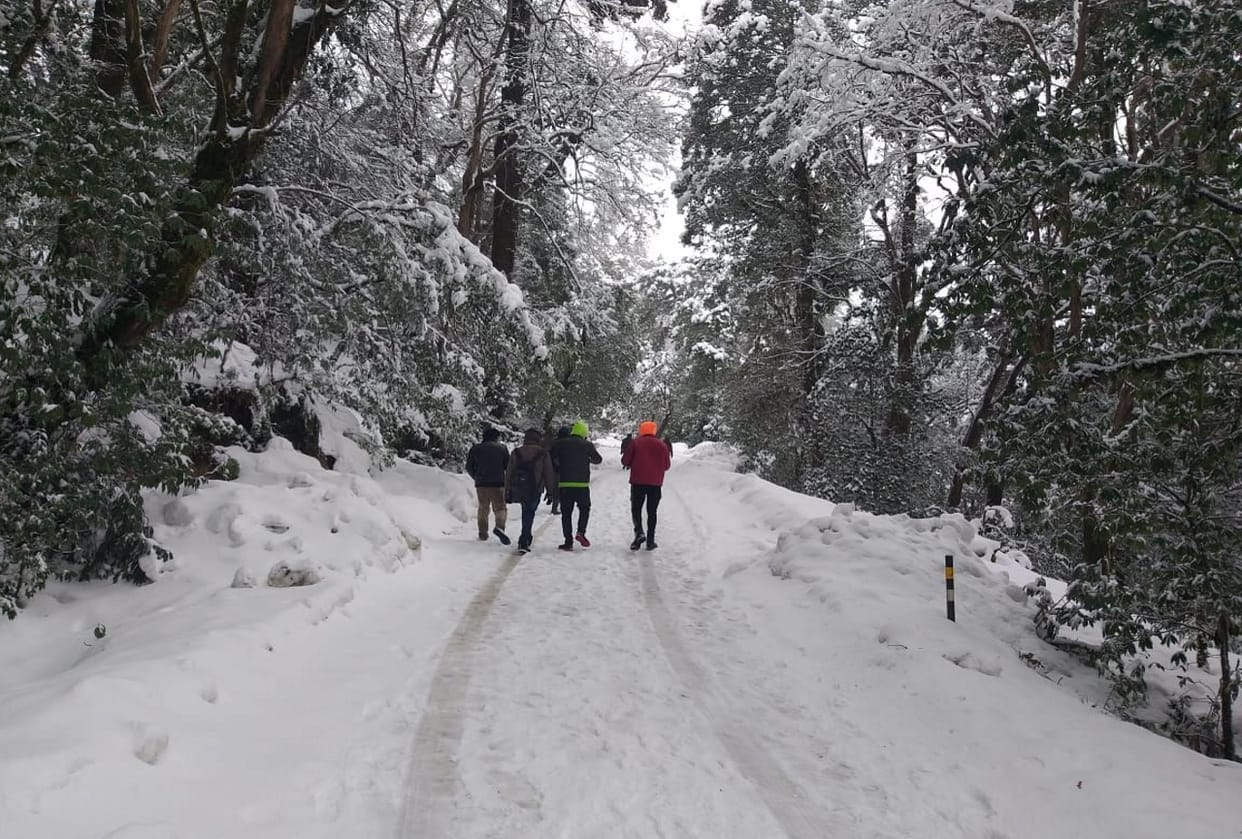 uttarakhand weather update today: snowfall in many areas, cold increased, see photos