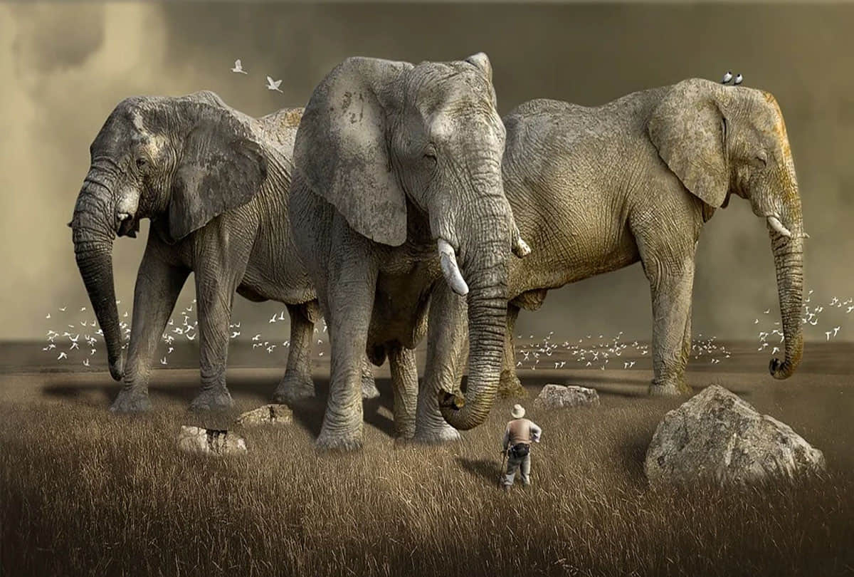 wwf claims in his report elephant sharks world is heading for largest mass extinction event since dinosaurs