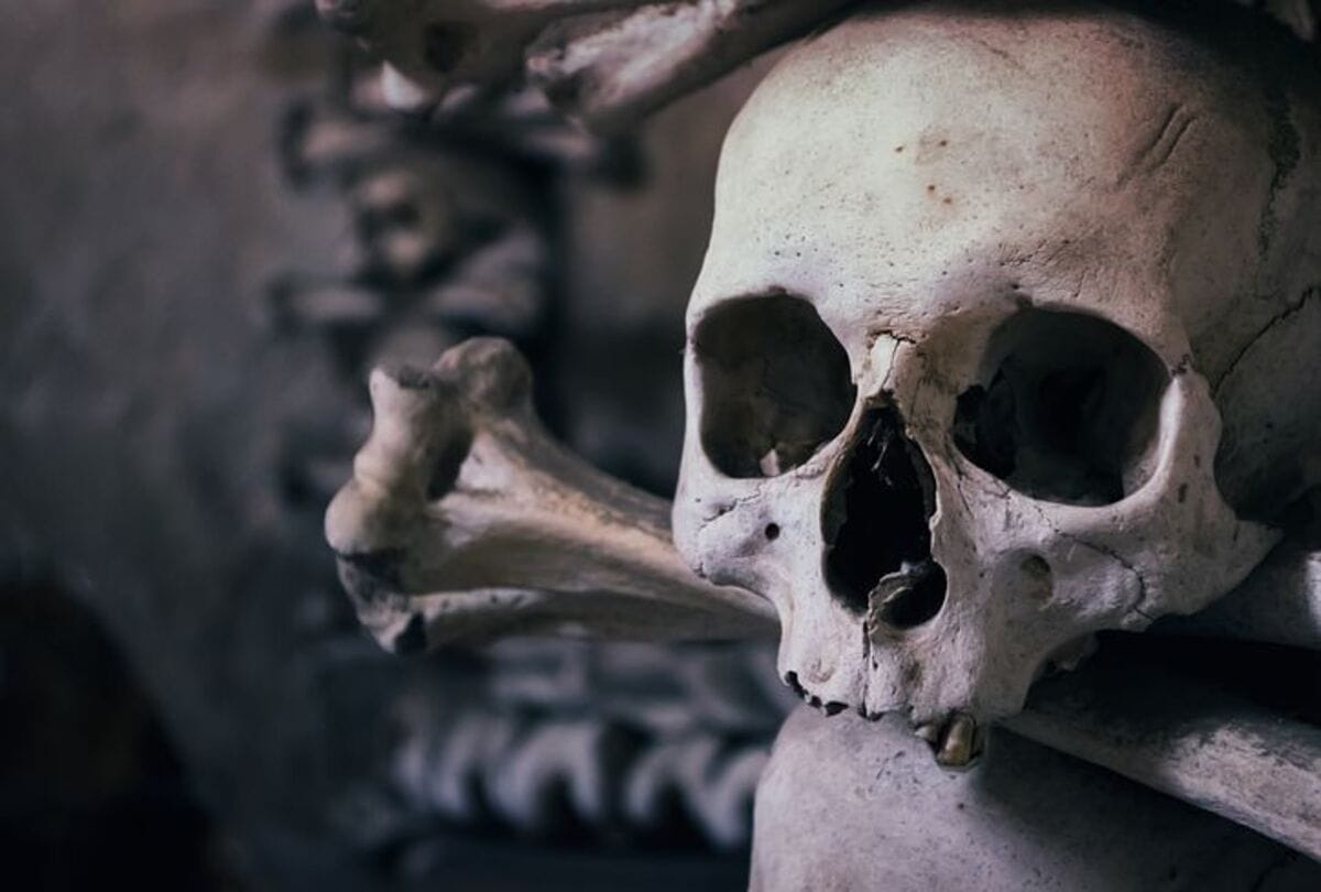 The theif stolen a skull in a very most hunted pub in briten Viral news in hindi