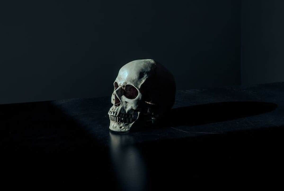 The theif stolen a skull in a very most hunted pub in briten Viral news in hindi