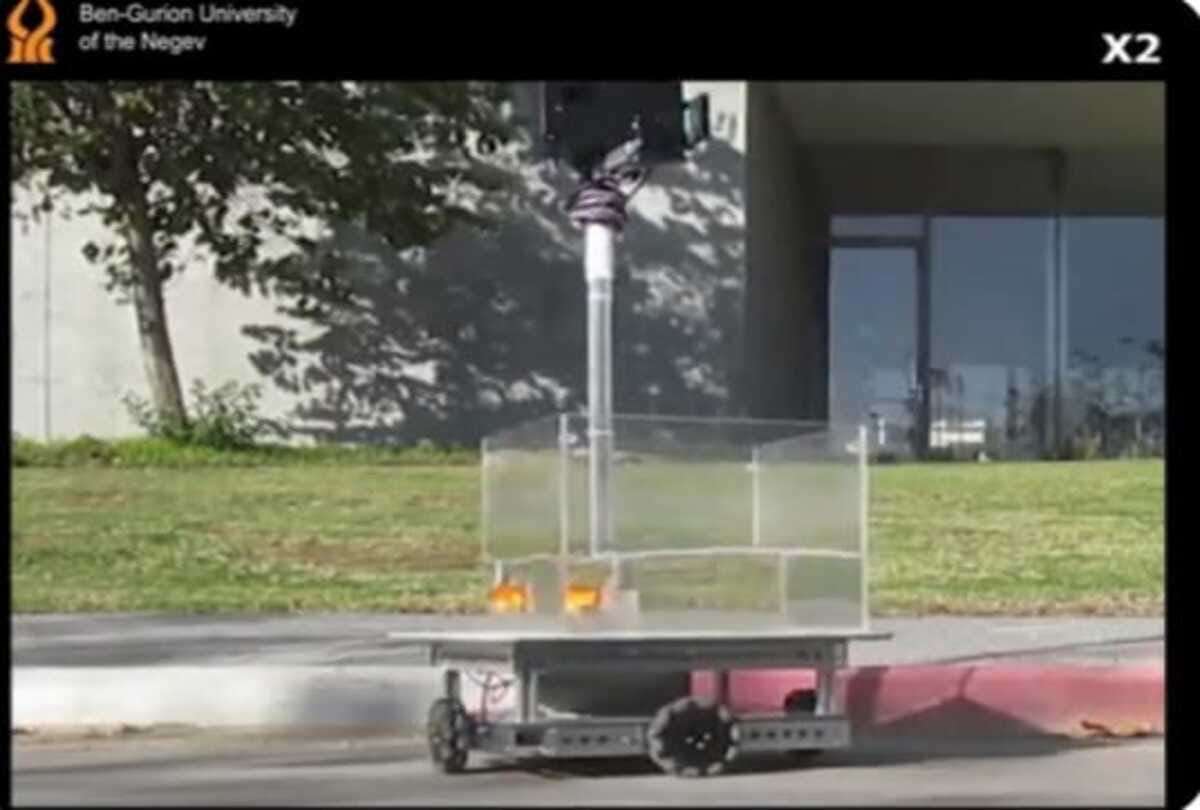 Scientists new discovery goldfish driving car on land bizarre news in hindi