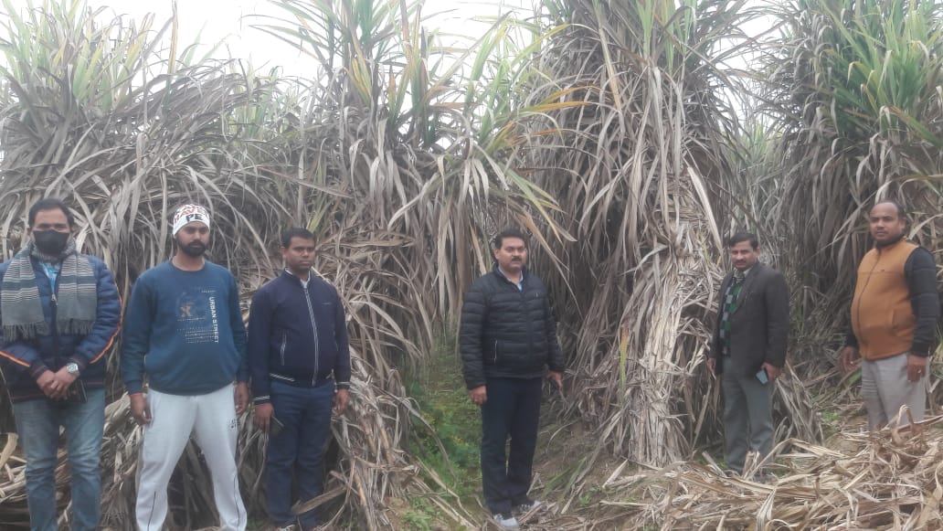 Officials appreciated the skills of co-cropping and farming
