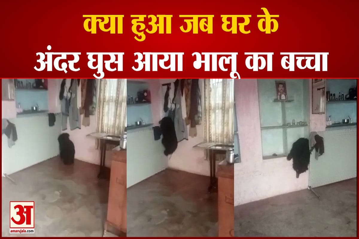भालू