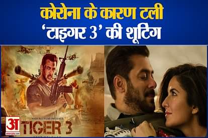 tiger 3 shooting is postpone bipasha basu celebrate her birthday and all bollywood news