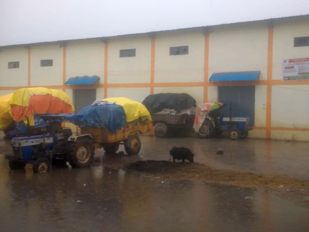 Purchase centers locked, paddy soaked, farmers upset