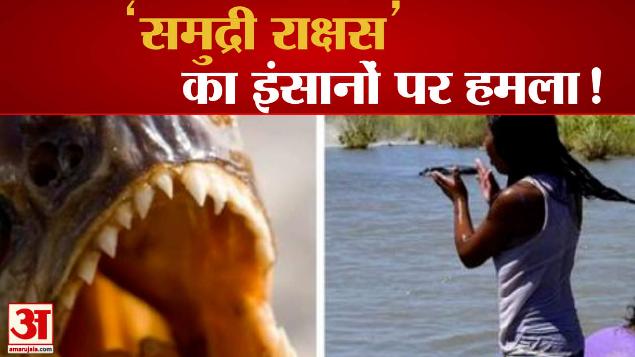 पिरान्हा मछली