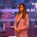 बिग बॉस 15
