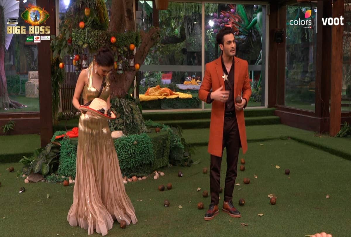 Bigg Boss 15: Umar Riaz father  targets Tejashwi Prakash calls the actress opportunistic