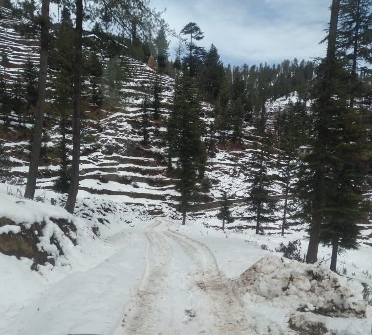 mandi news, himachal news, 19 road blocked, rain, snowfall mandi