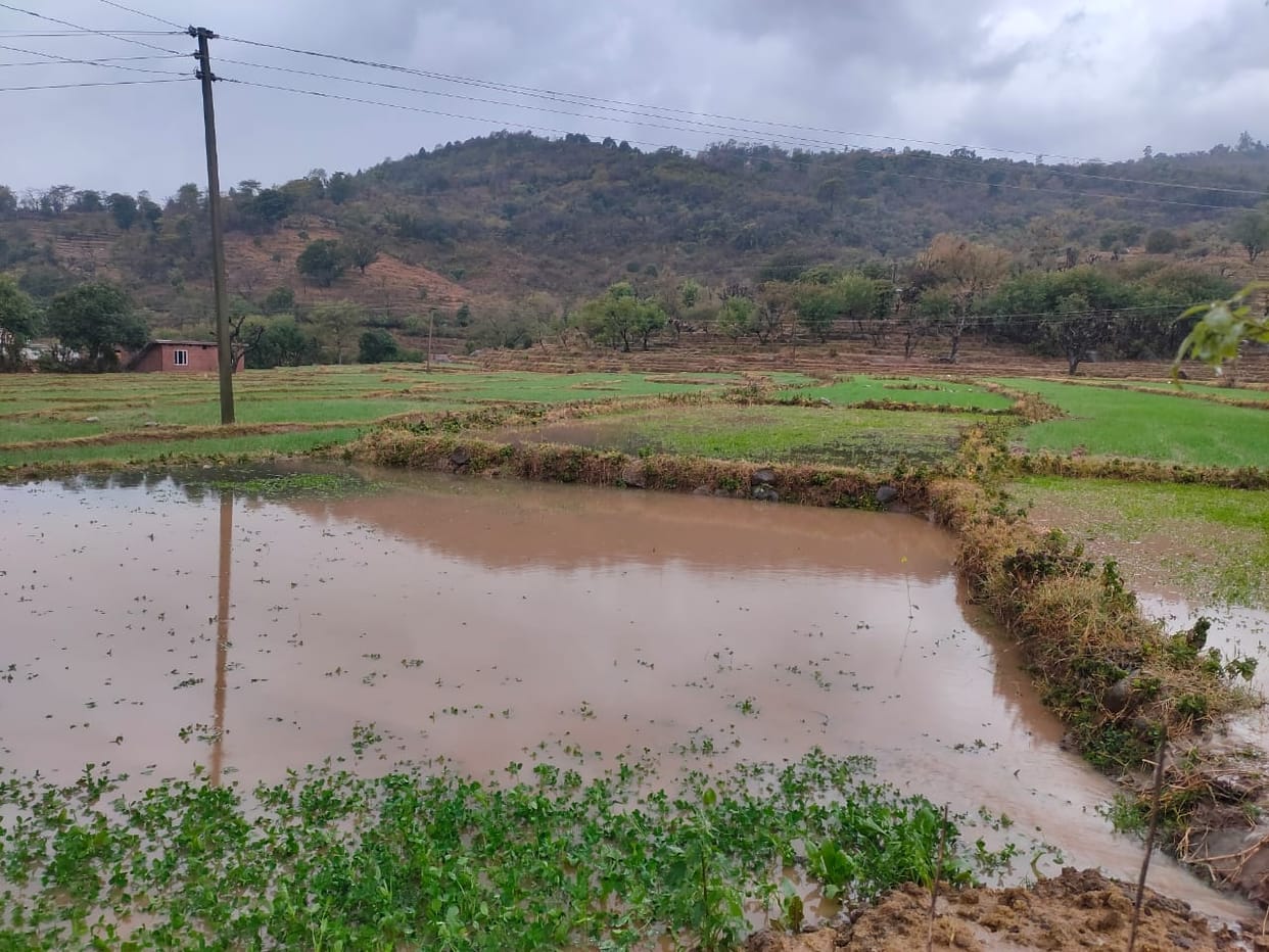 Filling of water in the fields can spoil the crop, farmers are worried