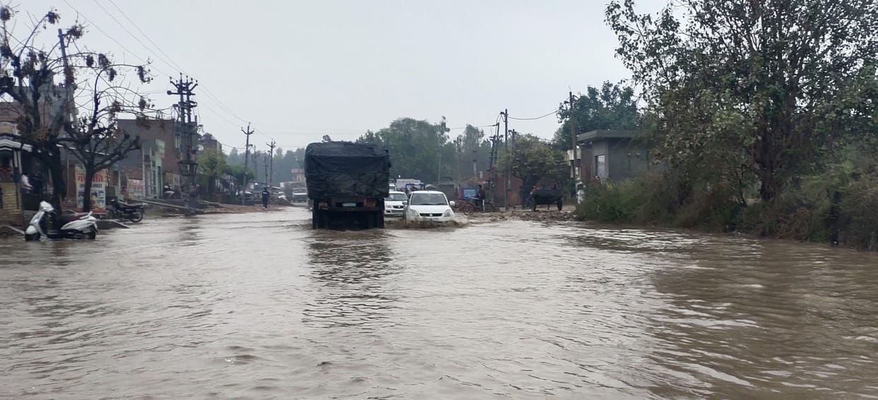 Somewhere disaster became nectar and it rained 29 mm in four days.