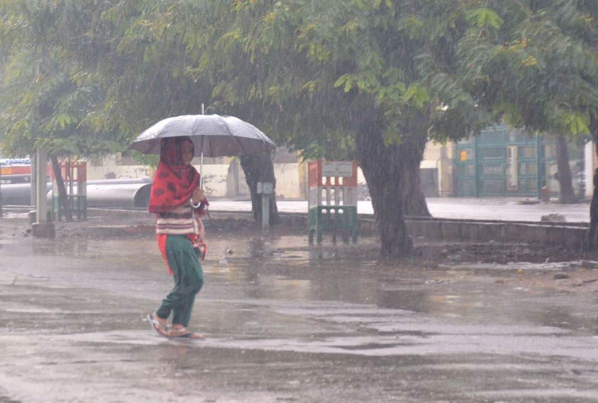 Weather update today Agra recorded 14mm of rain in three days