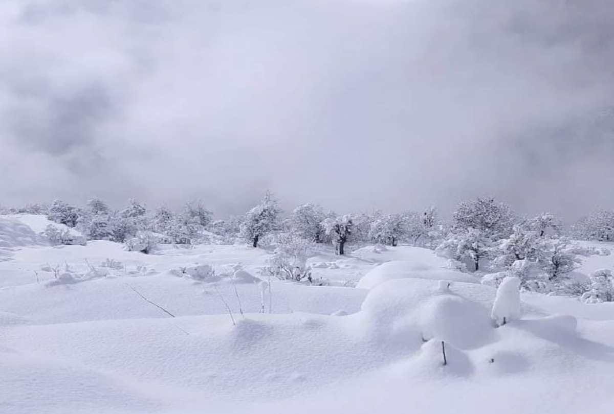 21 people die trapped in vehicles after heavy snowfall in Pakistan's Murree