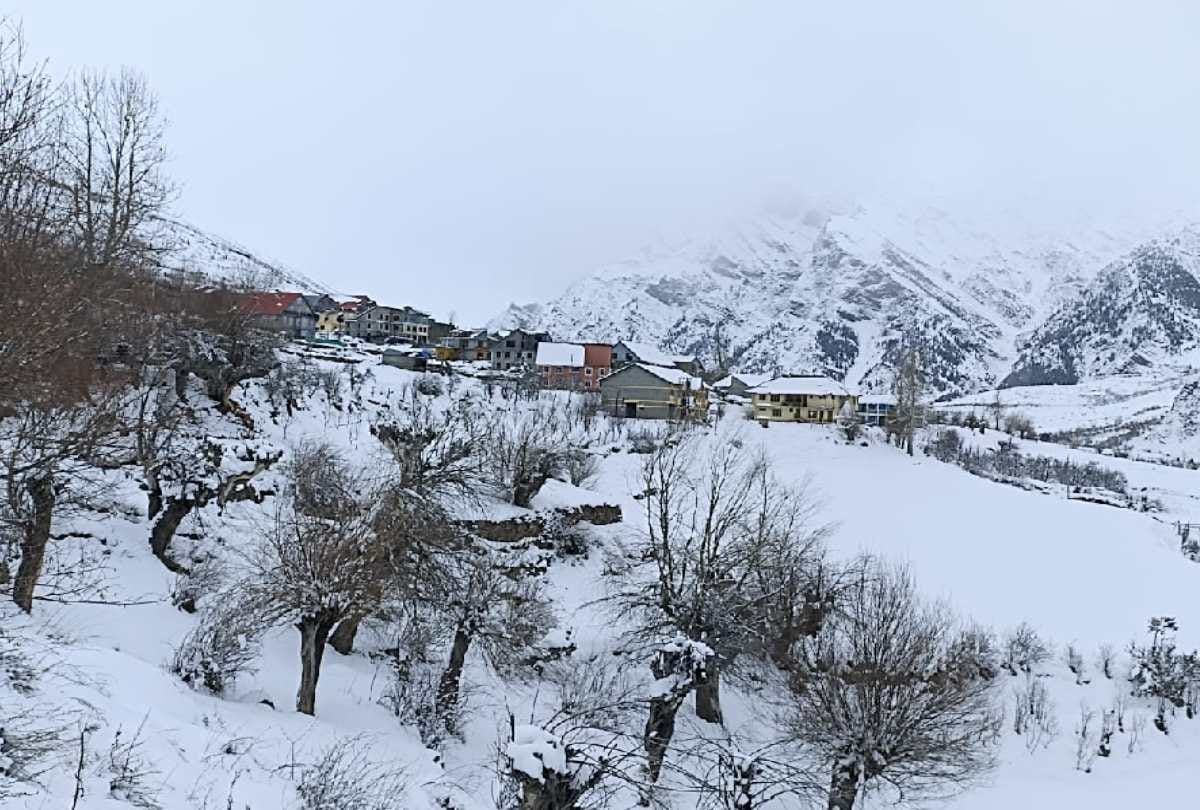 snowfall in himachal: more then 3000 roads closed, power transformers stalled, problems increased