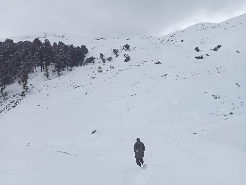 snowfall in uttarakhand: all day snowfall in kedarnath, chamoli 15 villages covered from snow, see photos
