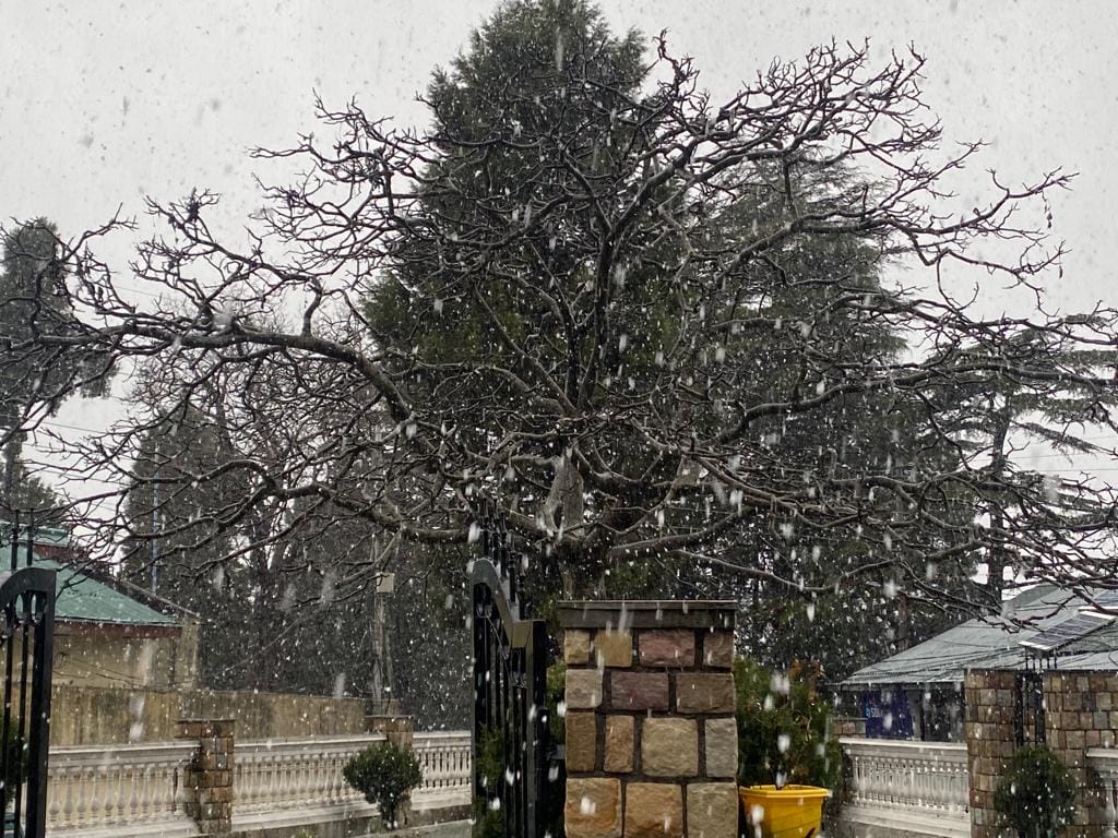 snowfall in mussoorie: snowfall in mussoorie, tourists reached mussoorie, see photos