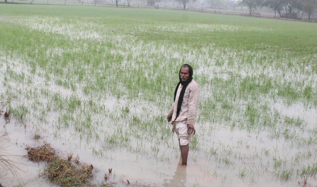 Disaster rained from the sky, crop ruined, farmer breathless