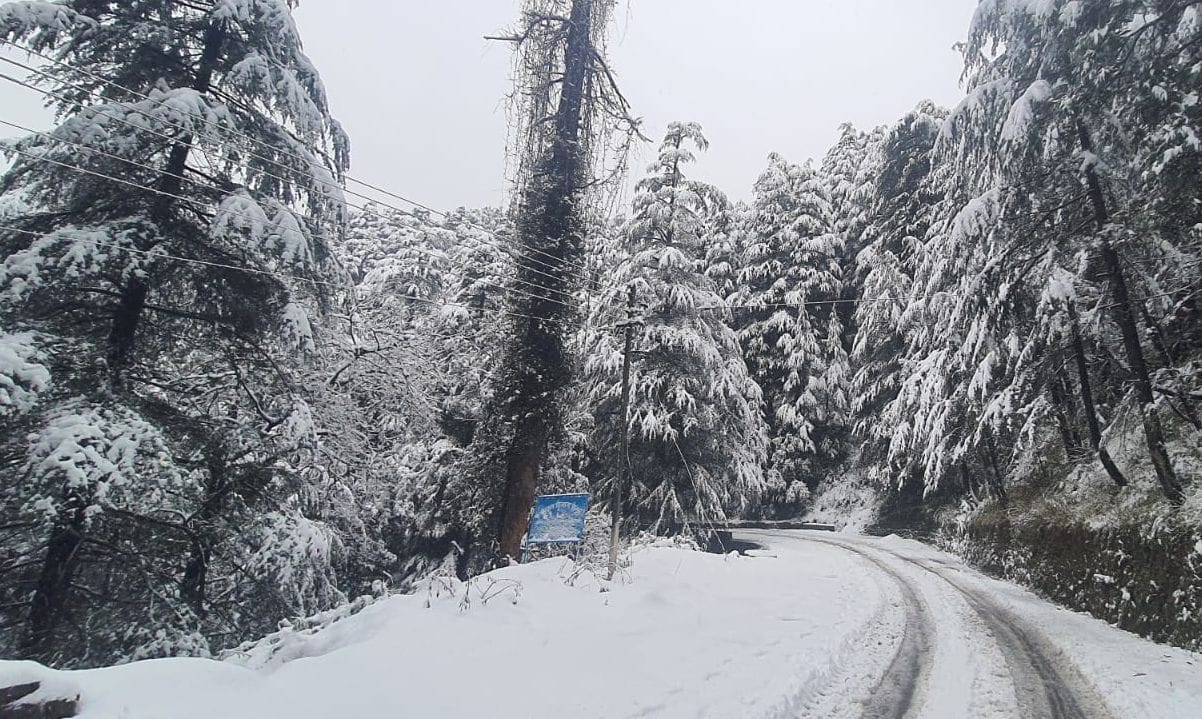 Snowfall in Chail and high hills of Karol rains in plains temprature dips, cold wave in Solan distt