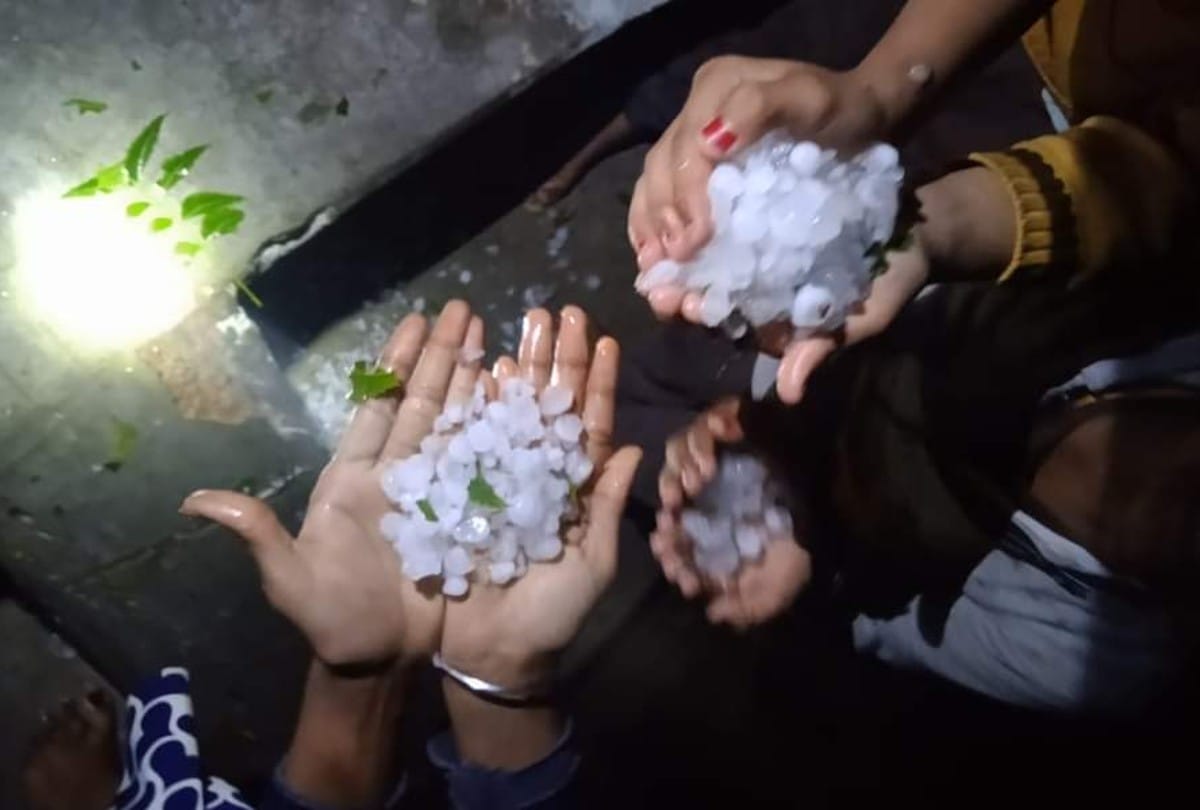 Hail rain wreaks havoc in Chhatarpur, standing crops destroyed in fields