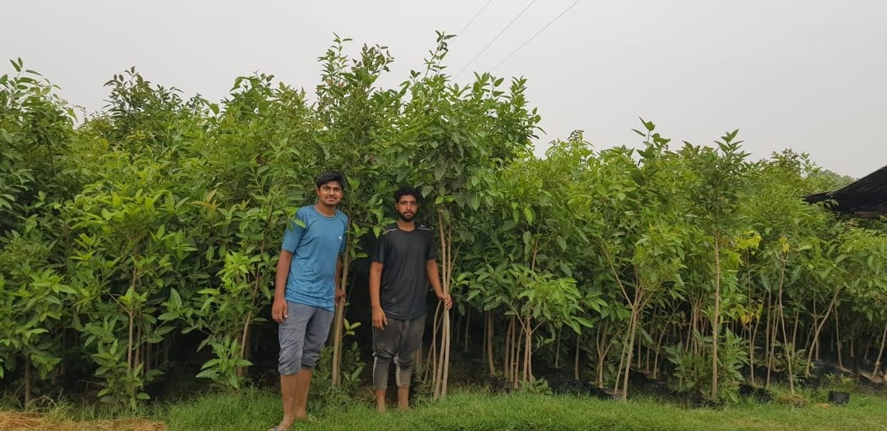 Prashant Bura is spending half of his salary for environmental protection