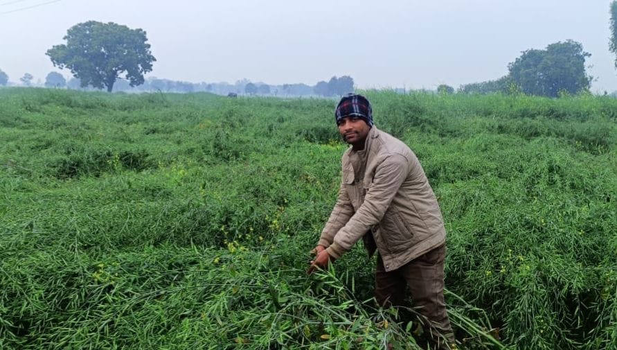 Farmers reached the verge of ruin due to rain and hail