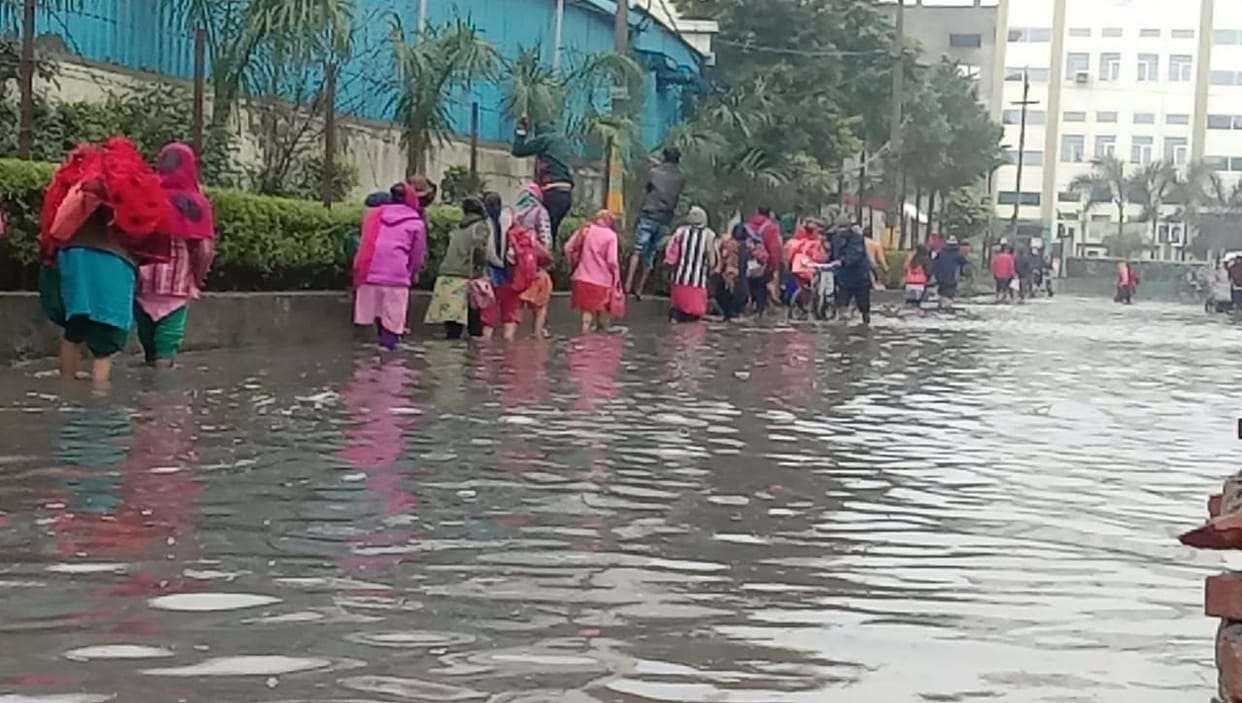 Rain  48 mm... Sawan like rain became a disaster