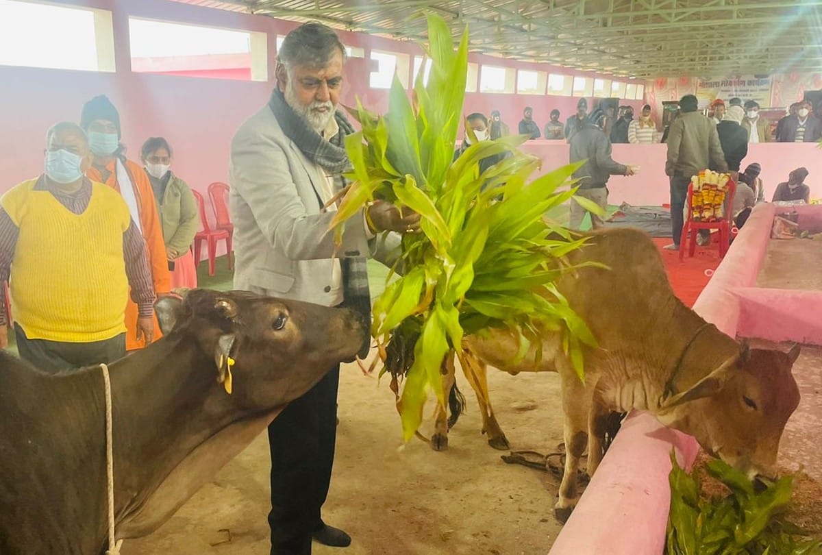Damoh: Union Minister Prahlad Singh Patel inaugurated Gaushala in Jararu Dham Sanctuary