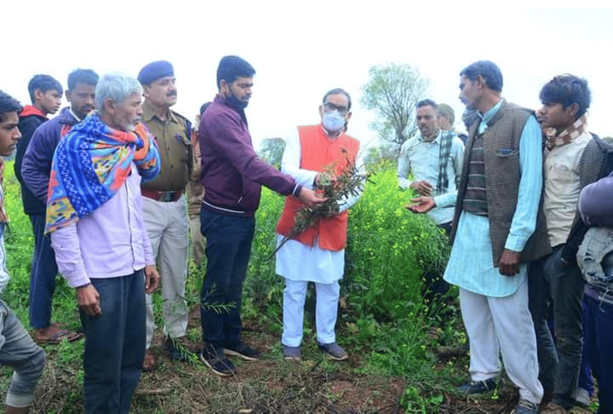 Shivpuri: Minister of State Prahlad Bharti reached Pohri Vidhan Sabha to take stock of crops damaged by hailstorm