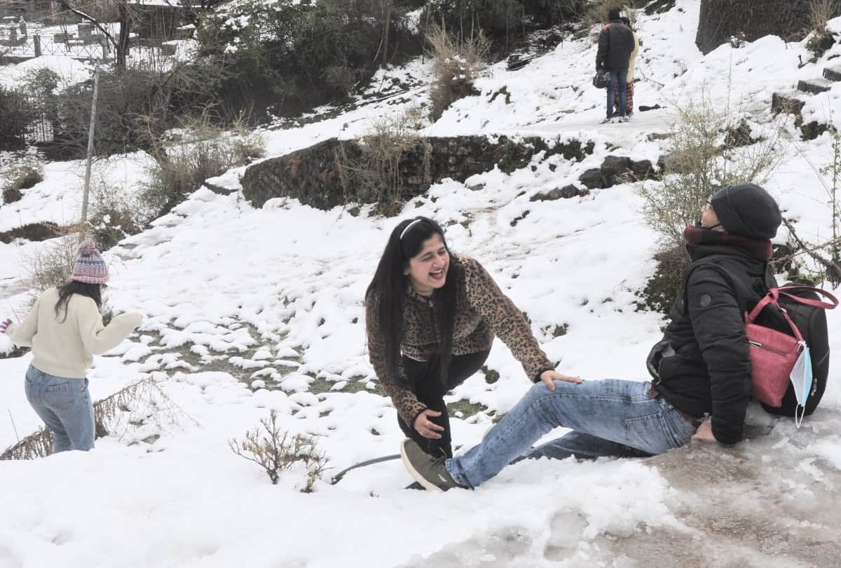 snowfall News Himachal Pradesh: snowfall beautiful iamges himachal pradesh