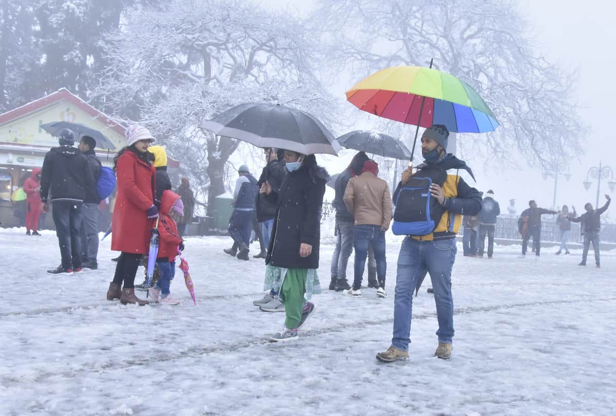 snowfall news himachal: snowfall images shimla himachal pradesh