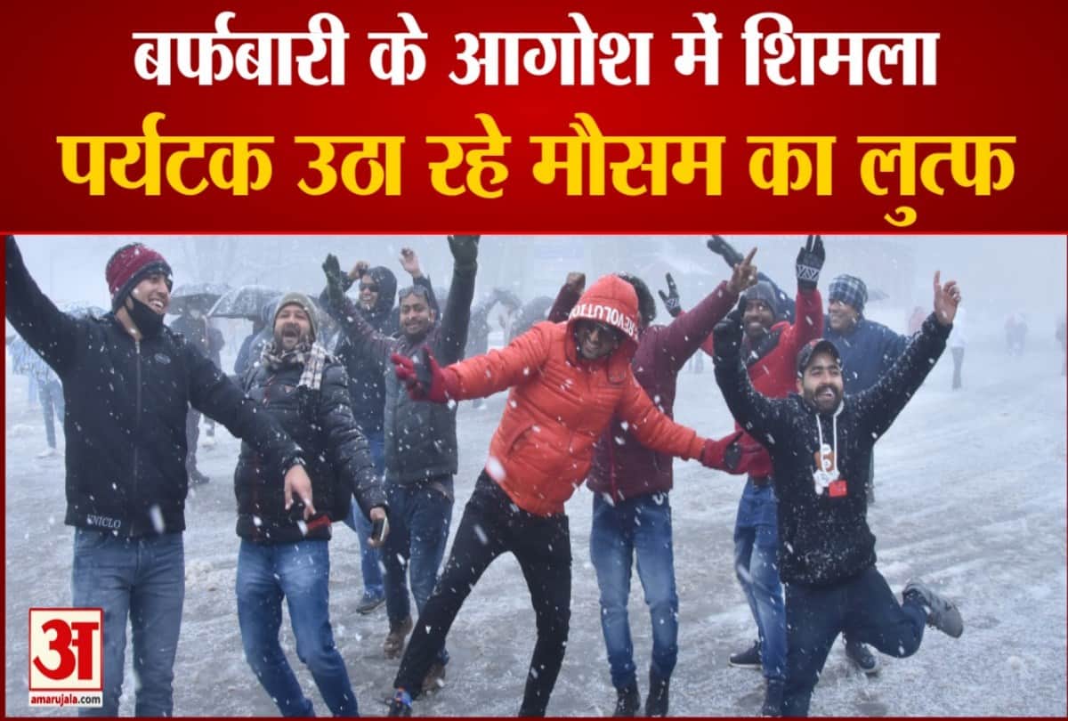 watch video tourist enjoys snowfall in shimla