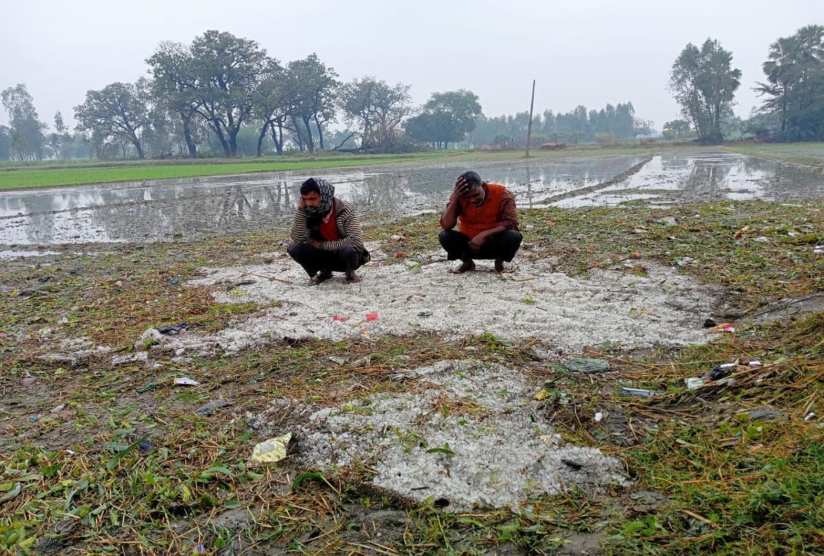 Rain and hailstorm crops ruined Thunderstorm alert in UP 18 districts including Mahoba