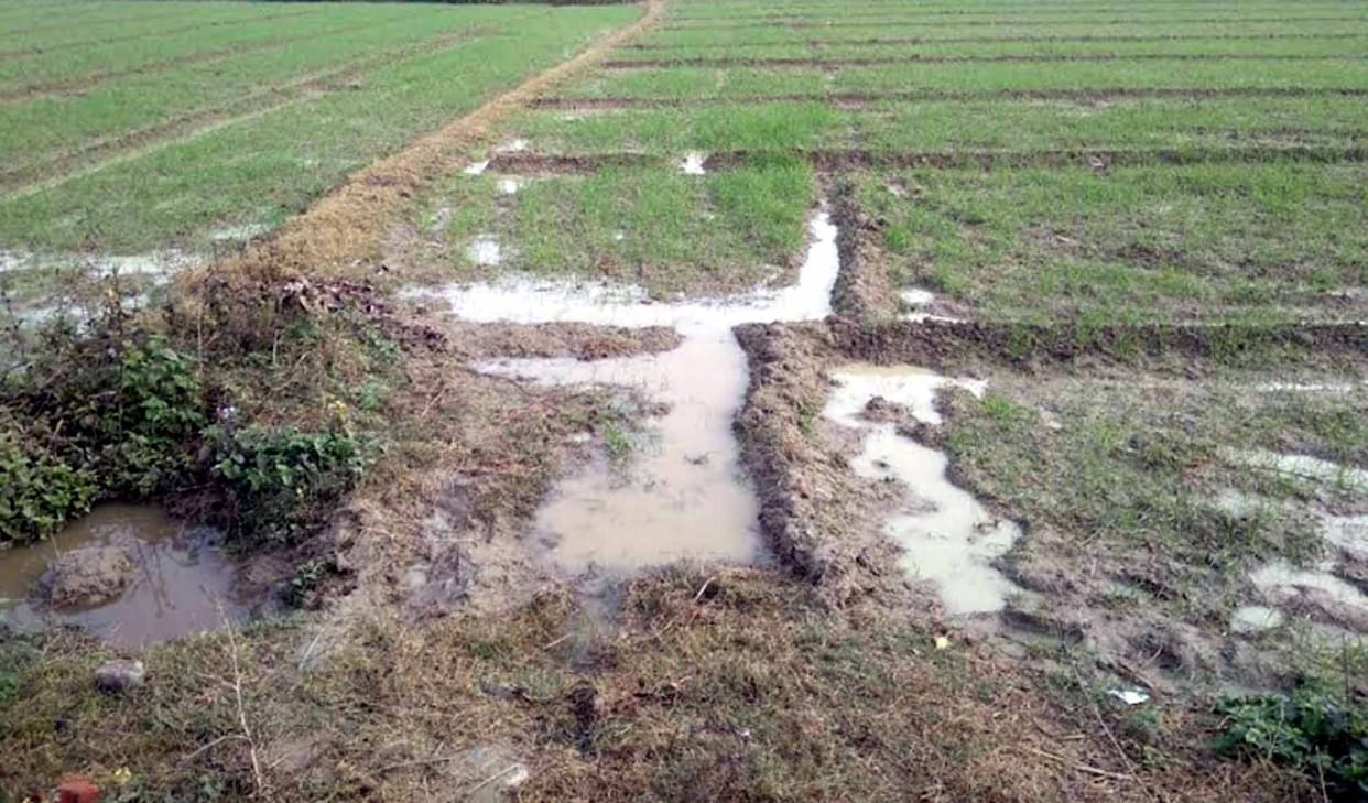It rained late on Sunday night, water logging at places