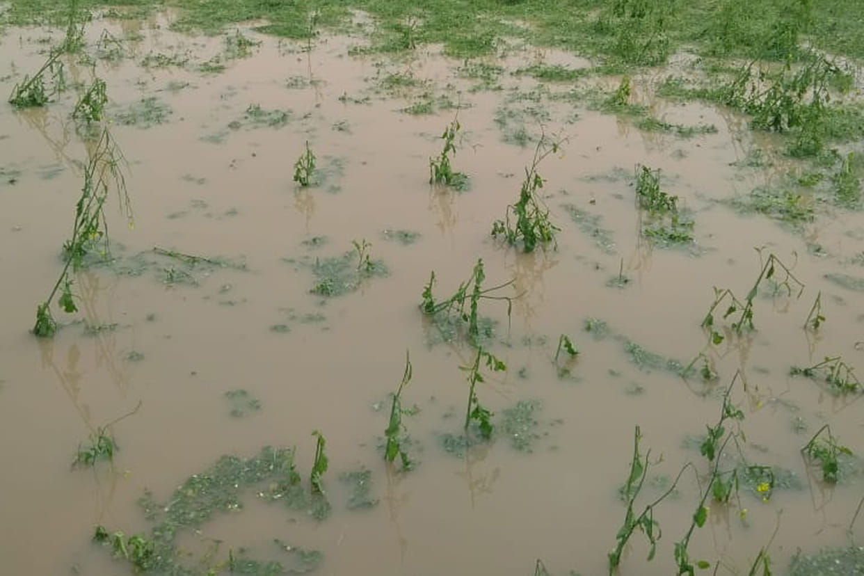 Villagers angry for not inspecting the fields, deposited