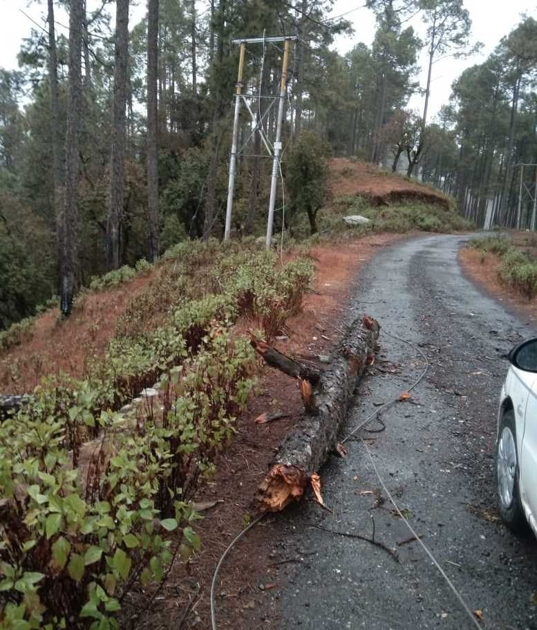 Heavy Rain in Almora Bageshwar