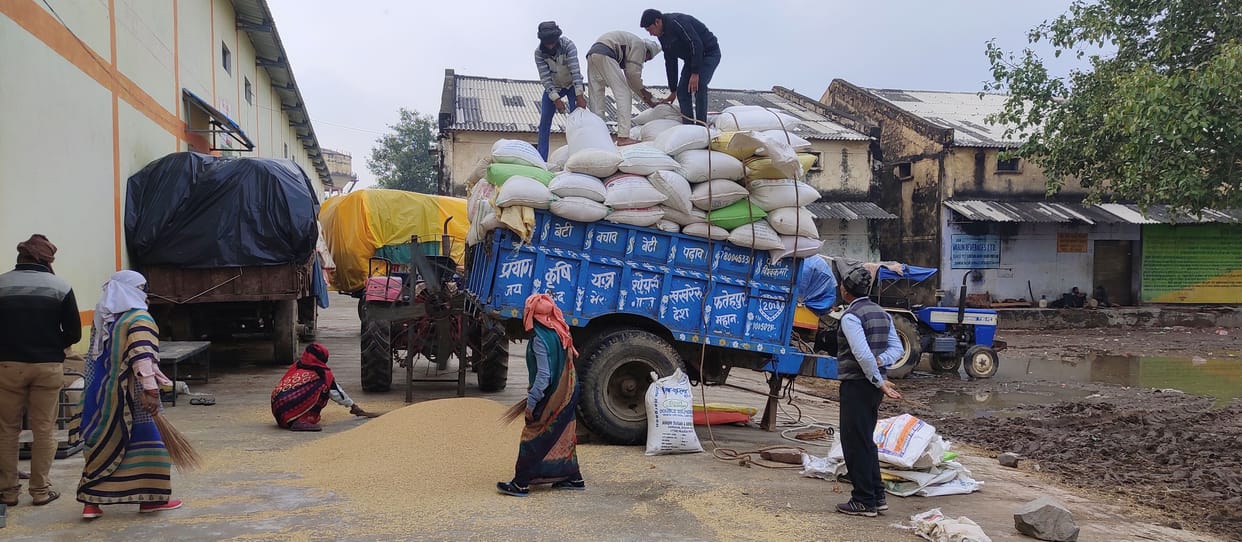 Paddy procurement resumes, trouble persists