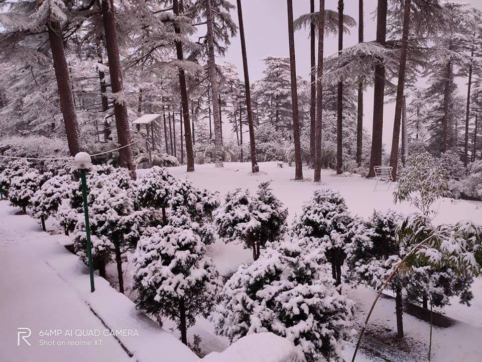 Electricity and drinking water supply stalled in Dhanaulti area
