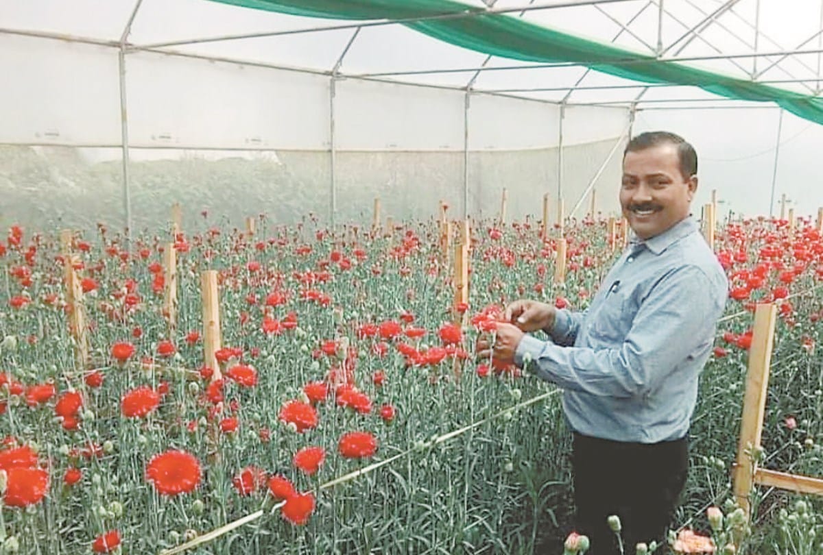 himachal pradesh first flower ambassador farmer sunil kumar story