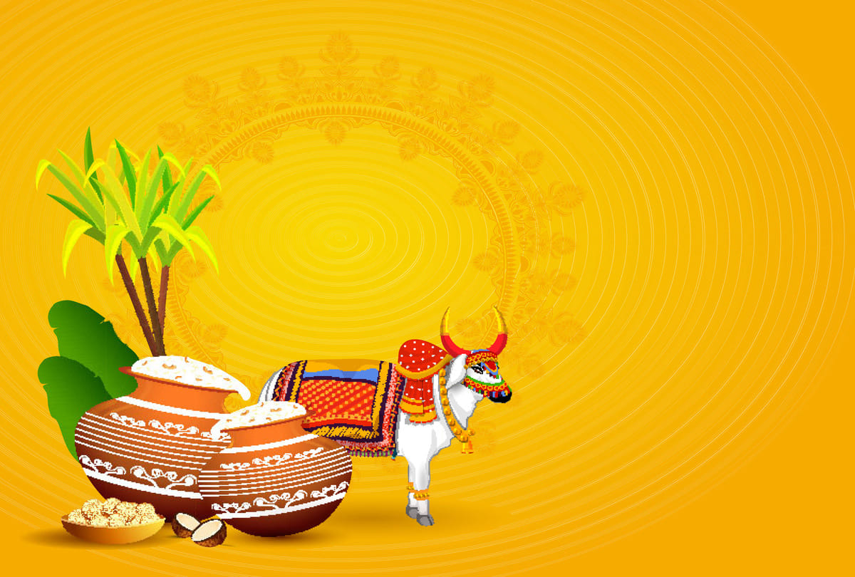 Pongal 2022 is a four-day festival know how this major festival of South India is celebrated