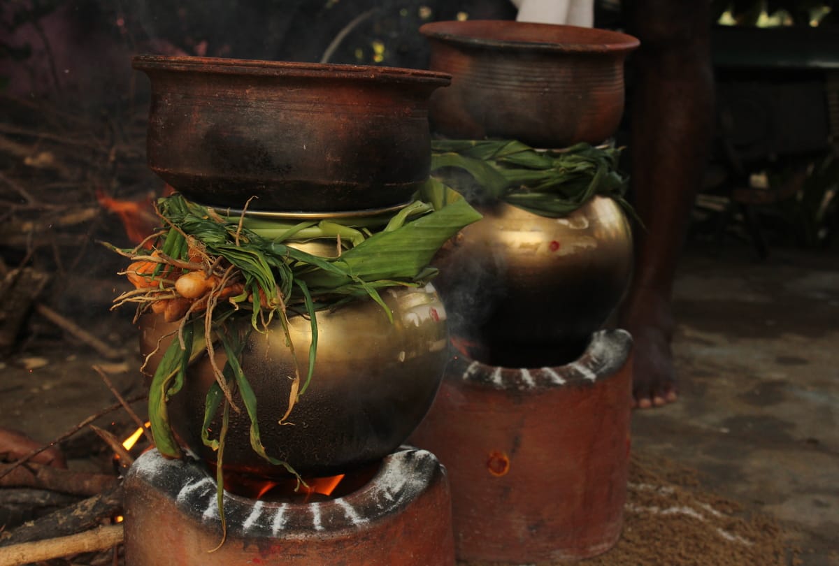 Pongal 2022 is a four-day festival know how this major festival of South India is celebrated