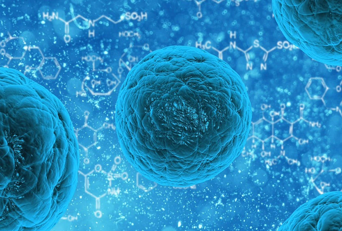 supercomputer found more than 1 lakh rna viruses including coronavirus nine new variant