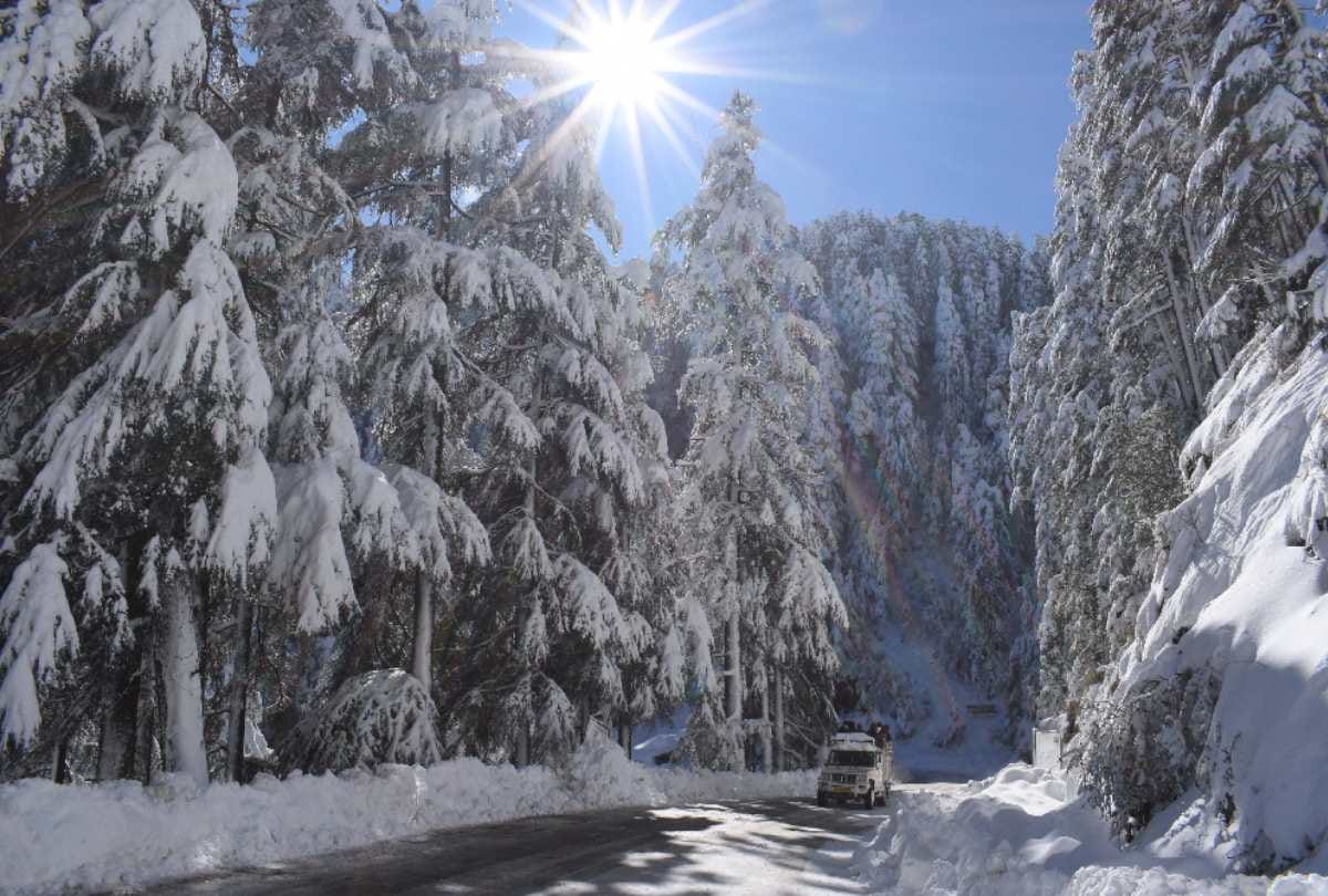 Queen of mountains Shimla wrapped in snow shining like silver as soon as the weather opens, tourists have fun, see great pictures